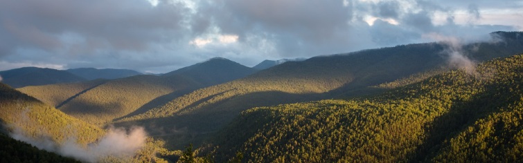 Баннер 4