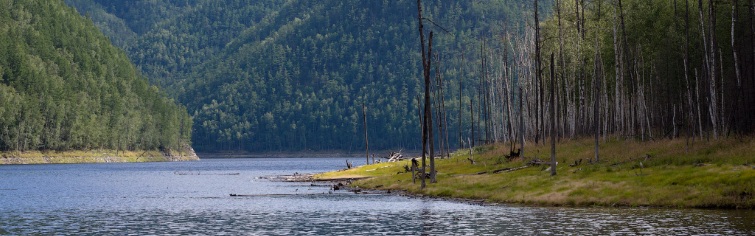 Баннер 1